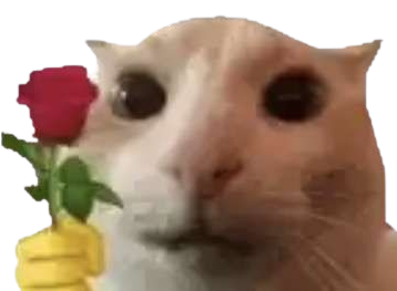 chat rose